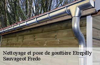 Nettoyage et pose de gouttière etrepilly-77139 Sauvageot Fredo