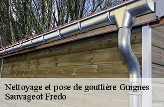 Nettoyage et pose de gouttière guignes-77390 BJ couverture