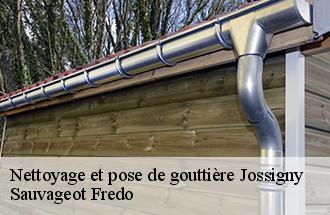 Nettoyage et pose de gouttière jossigny-77600 Sauvageot Fredo