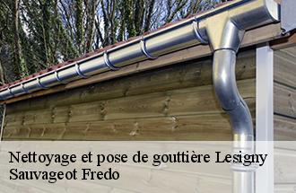 Nettoyage et pose de gouttière lesigny-77150 Sauvageot Fredo
