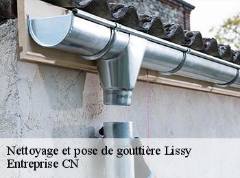 Nettoyage et pose de gouttière lissy-77550 Entreprise CN