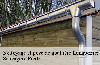 Nettoyage et pose de gouttière  longperrier-77230 Sauvageot Fredo