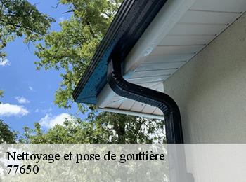 Nettoyage et pose de gouttière 77650