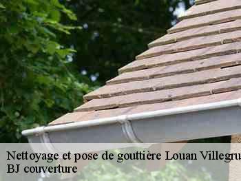 Nettoyage et pose de gouttière  louan-villegruis-fontaine-77560 BJ couverture