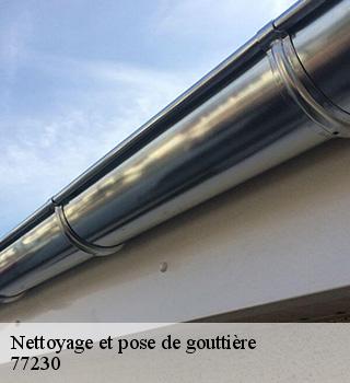 Nettoyage et pose de gouttière  77230