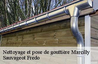 Nettoyage et pose de gouttière marcilly-77139 Sauvageot Fredo