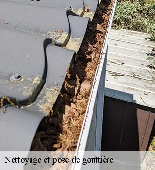 Nettoyage et pose de gouttière  77550