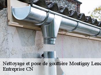 Nettoyage et pose de gouttière  montigny-lencoup-77520 Entreprise CN