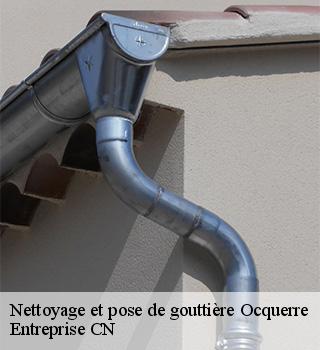 Nettoyage et pose de gouttière 77440