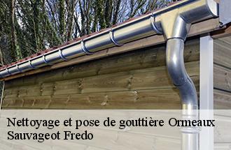 Nettoyage et pose de gouttière ormeaux-77540 Sauvageot Fredo
