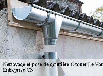 Nettoyage et pose de gouttière ozouer-le-voulgis-77390 Entreprise CN