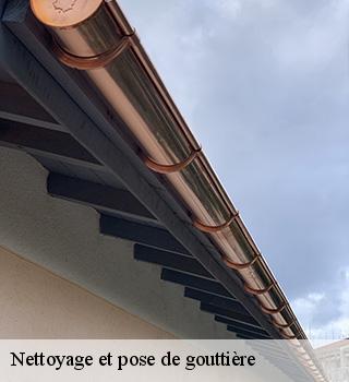 Nettoyage et pose de gouttière  77710