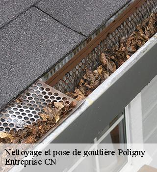 Nettoyage et pose de gouttière 77167