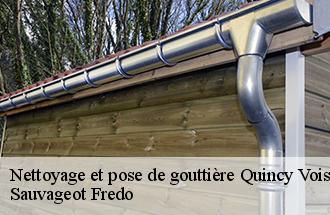 Nettoyage et pose de gouttière quincy-voisins-77860 Sauvageot Fredo