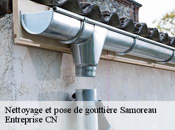 Nettoyage et pose de gouttière samoreau-77210 Entreprise CN