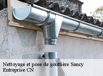 Nettoyage et pose de gouttière  sancy-77580 Entreprise CN