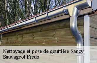 Nettoyage et pose de gouttière sancy-77580 Sauvageot Fredo