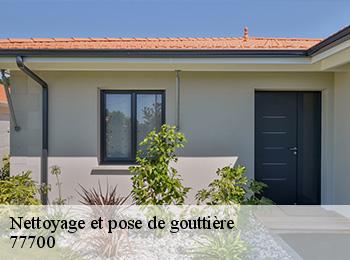 Nettoyage et pose de gouttière  77700