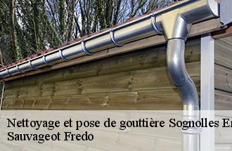 Nettoyage et pose de gouttière sognolles-en-montois-77520 Sauvageot Fredo