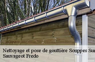 Nettoyage et pose de gouttière  souppes-sur-loing-77460 Sauvageot Fredo