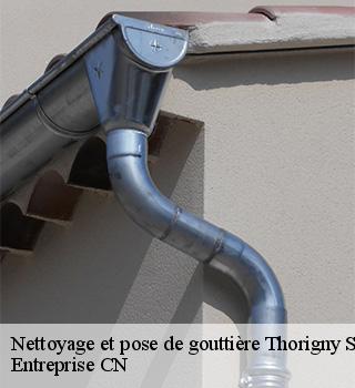 Nettoyage et pose de gouttière 77400