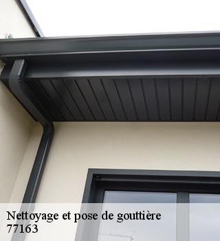 Nettoyage et pose de gouttière 77163
