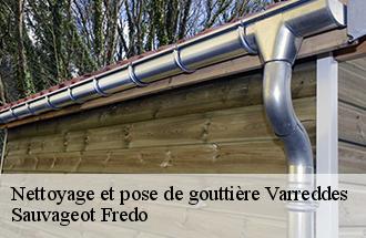 Nettoyage et pose de gouttière  varreddes-77910 Sauvageot Fredo