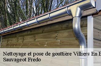 Nettoyage et pose de gouttière villiers-en-biere-77190 Sauvageot Fredo
