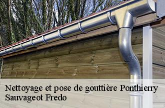 Nettoyage et pose de gouttière ponthierry-77310 Sauvageot Fredo