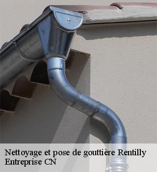 Nettoyage et pose de gouttière  77400