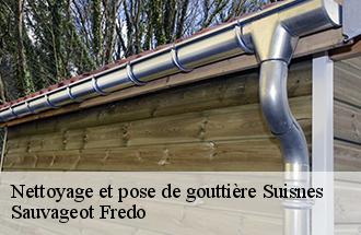 Nettoyage et pose de gouttière suisnes-77166 Sauvageot Fredo