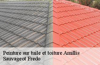 Peinture sur tuile et toiture  amillis-77120 Sauvageot Fredo