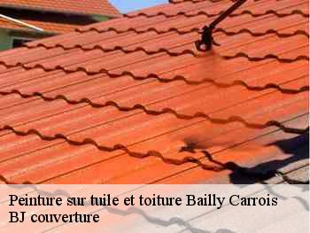 Peinture sur tuile et toiture  bailly-carrois-77720 BJ couverture