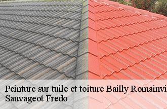 Peinture sur tuile et toiture  bailly-romainvilliers-77700 Sauvageot Fredo