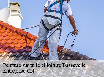 Peinture sur tuile et toiture  bassevelle-77750 Entreprise CN