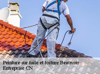 Peinture sur tuile et toiture  beauvoir-77390 Entreprise CN