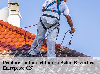 Peinture Sur Toiture Tuiles Béton Est-ce Valable