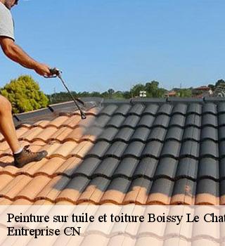Peinture sur tuile et toiture 77169