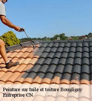 Peinture sur tuile et toiture 77570