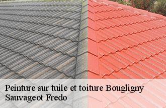 Peinture sur tuile et toiture  bougligny-77570 Sauvageot Fredo