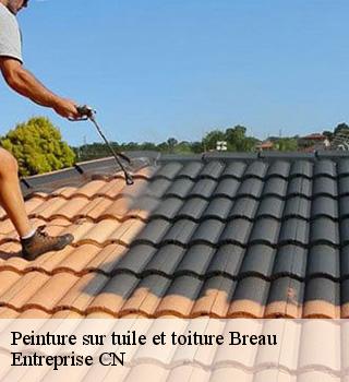 Peinture sur tuile et toiture 77720