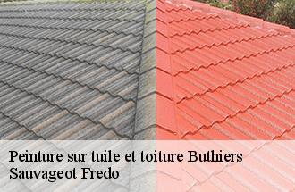 Peinture sur tuile et toiture buthiers-77760 Sauvageot Fredo