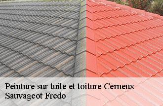 Peinture sur tuile et toiture  cerneux-77320 Sauvageot Fredo