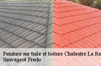 Peinture sur tuile et toiture chalautre-la-reposte-77520 Sauvageot Fredo