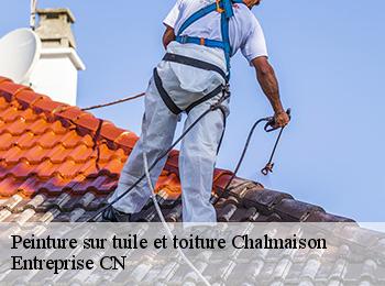 Peinture sur tuile et toiture  chalmaison-77650 Entreprise CN