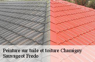 Peinture sur tuile et toiture chamigny-77260 Sauvageot Fredo