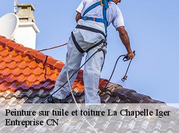Peinture sur tuile et toiture  la-chapelle-iger-77540 Entreprise CN