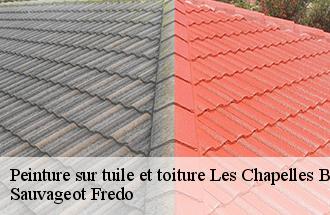 Peinture sur tuile et toiture les-chapelles-bourbon-77610 Sauvageot Fredo