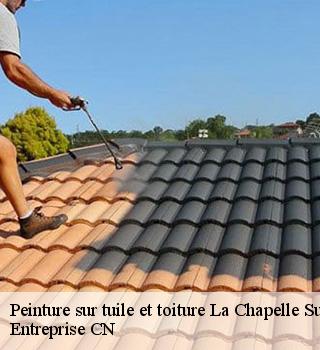 Peinture sur tuile et toiture  77580