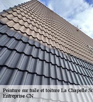 Peinture sur tuile et toiture  77580